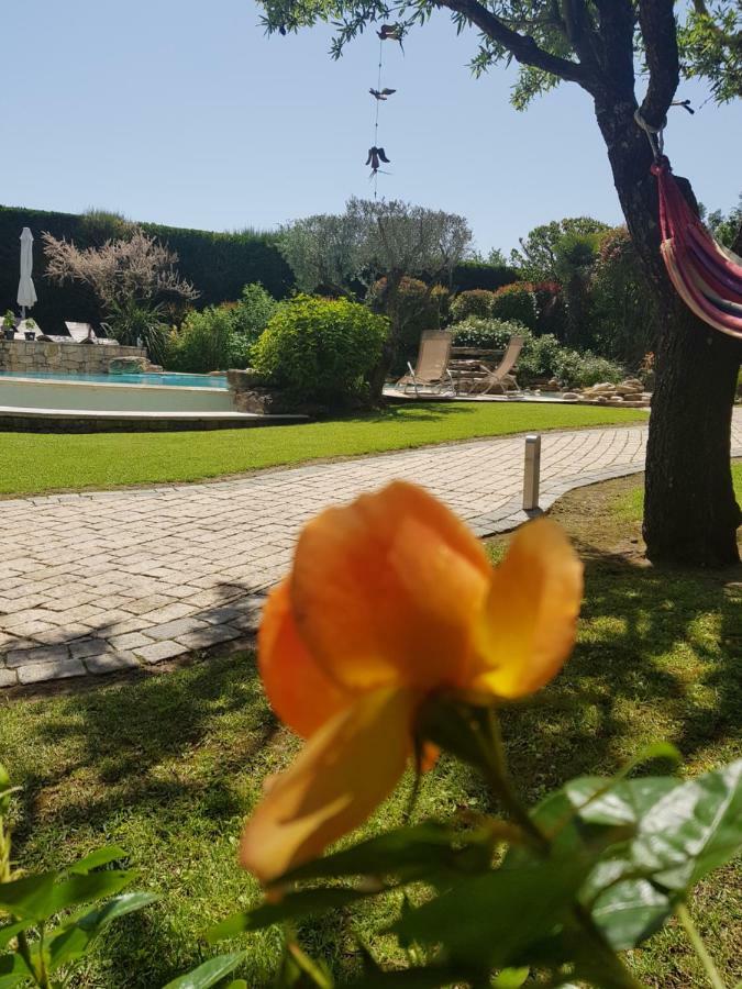 エクス＝アン＝プロヴァンスAu Pays De Cezanne Picasso & Matisseアパートメント エクステリア 写真